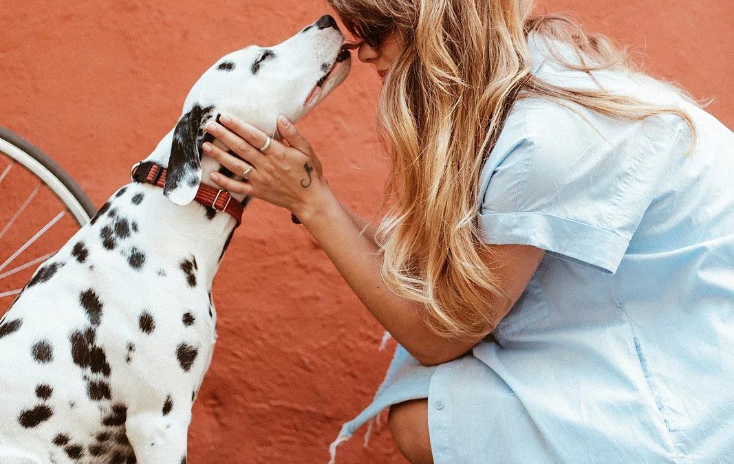 Welcome Home, Furry Friend!