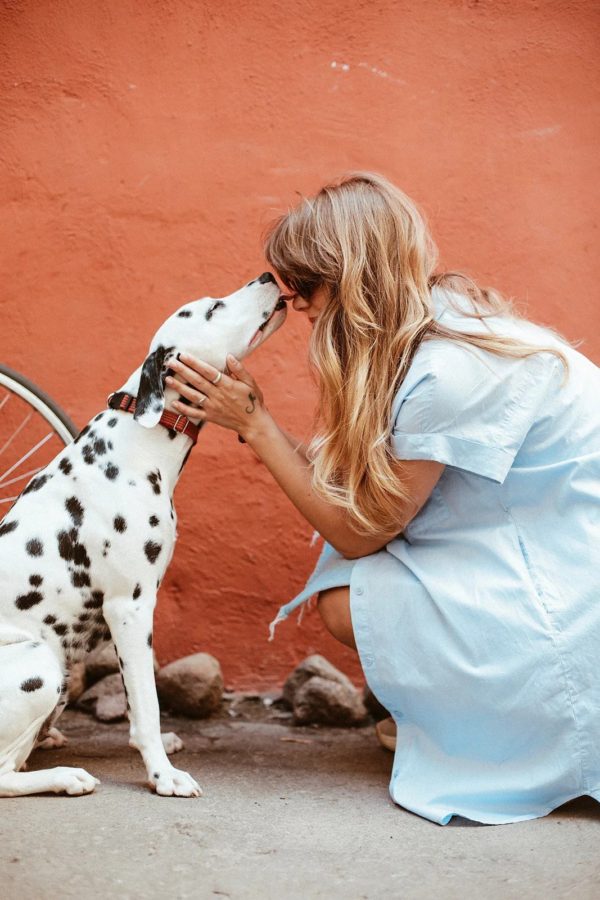 Welcome Home, Furry Friend!