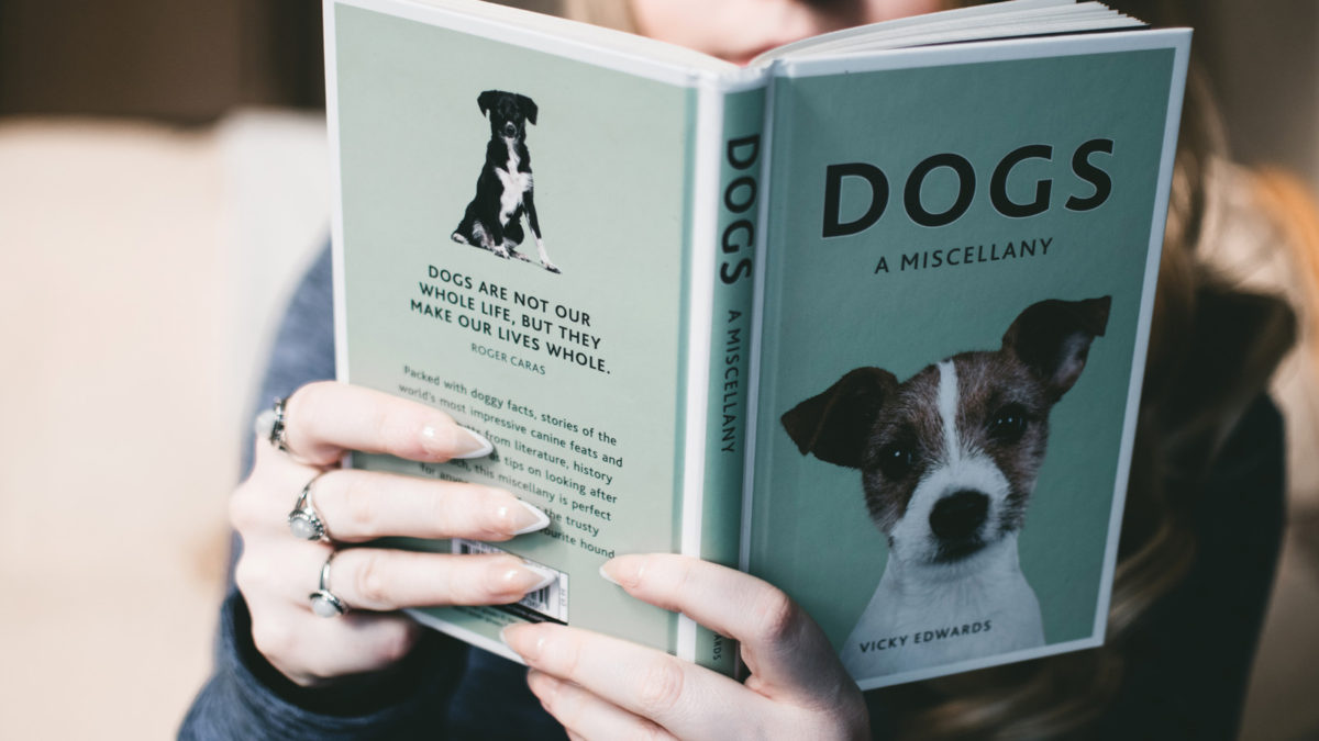 Are You Ready To Own A Pooch?