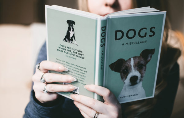Are You Ready To Own A Pooch?