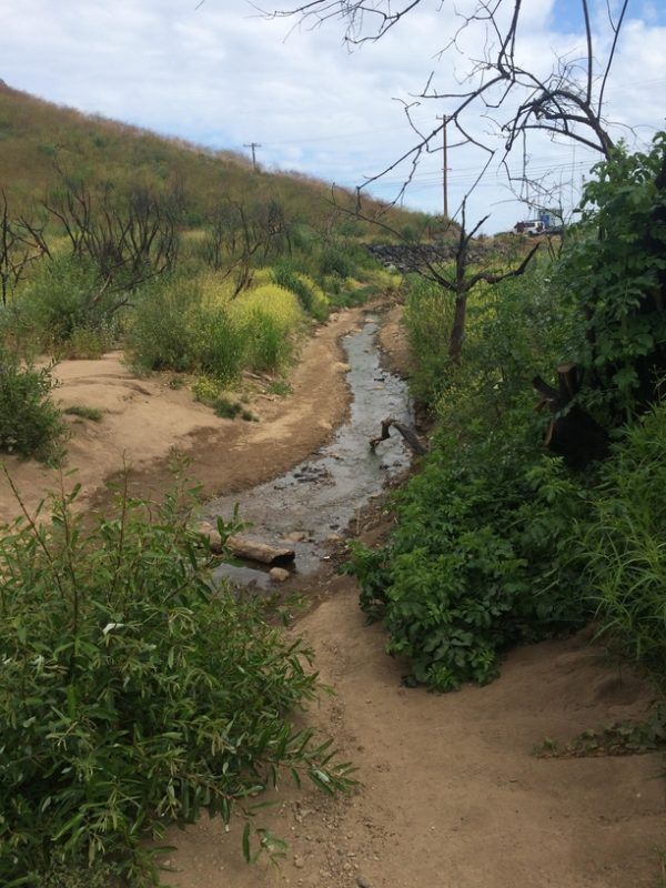 Corral Canyon Park and Malibu Seafood
