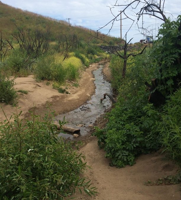 Corral Canyon Park and Malibu Seafood